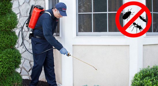 Kula Karınca İlaçlama böcek ilaçlama ve haşere kontrolü — ilaclama-tr.com